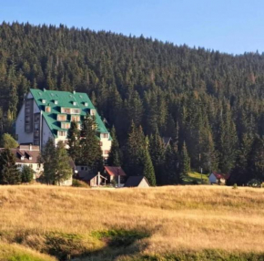 Raspberry Žabljak